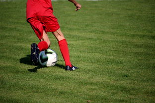 九游APP官网-中国足球青训体系引进国际先进训练理念，中国足球青训体系是什么